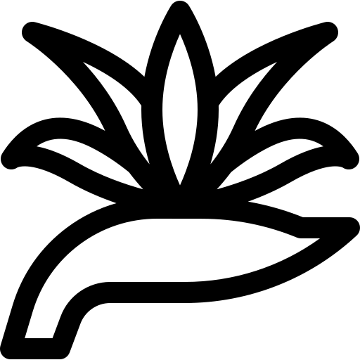 iPARADISE - Class 8 icon