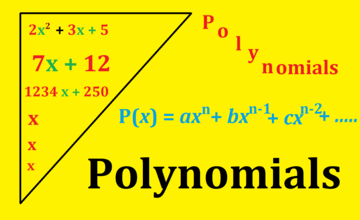 Quadratic Equation